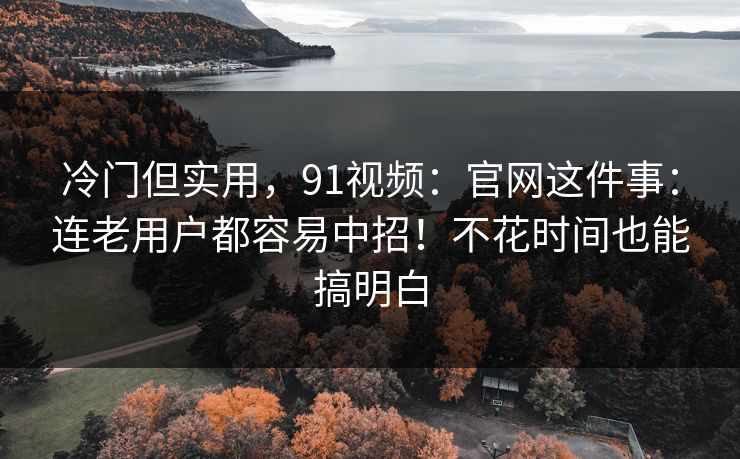 冷门但实用，91视频：官网这件事：连老用户都容易中招！不花时间也能搞明白