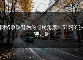 网络争议背后的隐秘角落：51网的独特之处