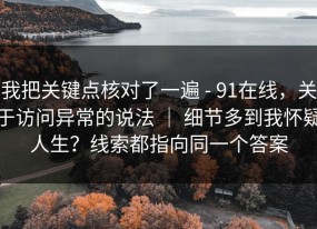 我把关键点核对了一遍 - 91在线，关于访问异常的说法 ｜ 细节多到我怀疑人生？线索都指向同一个答案