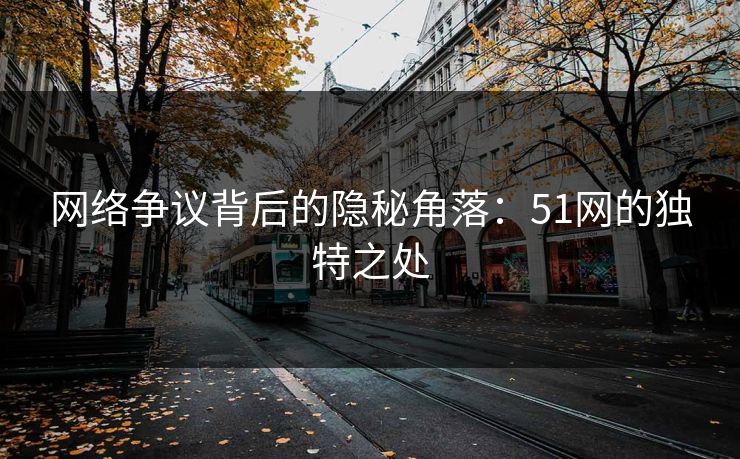 网络争议背后的隐秘角落：51网的独特之处